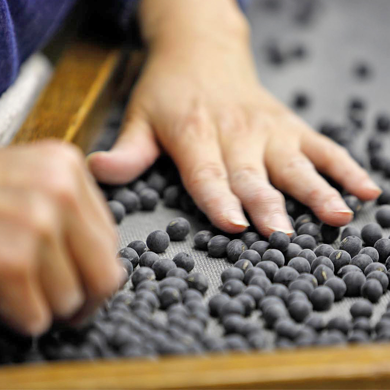 【予約販売　令和7年度産　新豆】大玉丹波黒大豆　1.2kg　乾燥豆